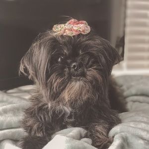 Meet your Posher, Alisha